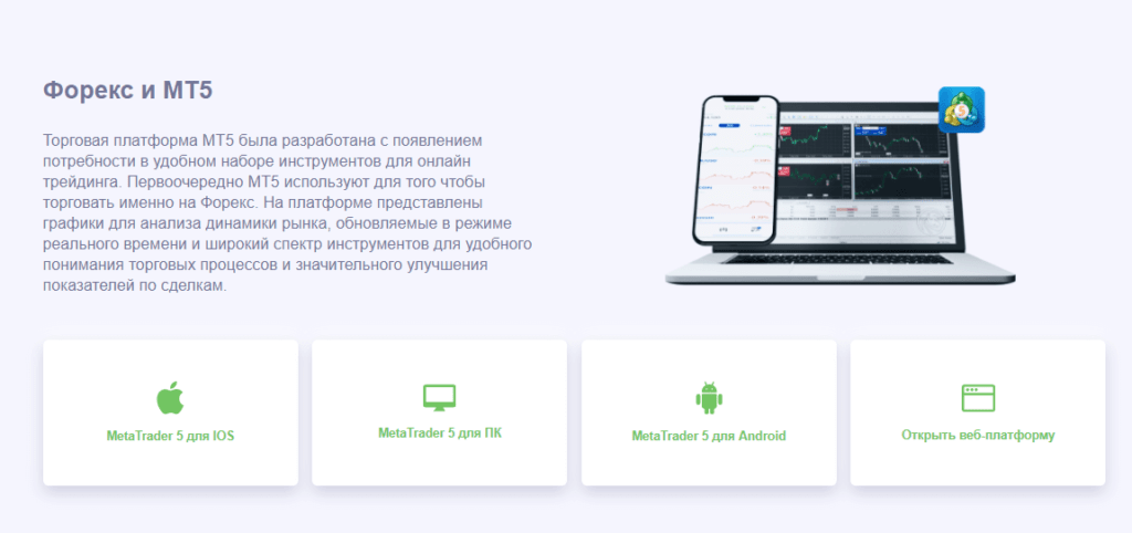 метатрейдер в эвотрейд