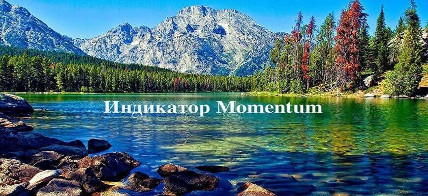 моментум
