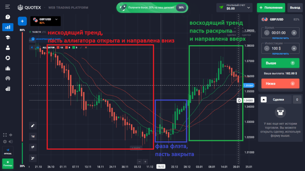 аллигатор в квотекс