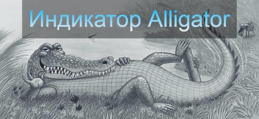 индикатор аллигатор
