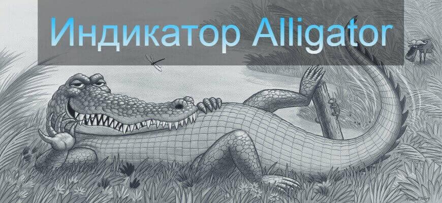 индикатор аллигатор