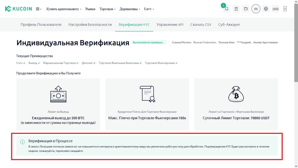 верификация в процессе