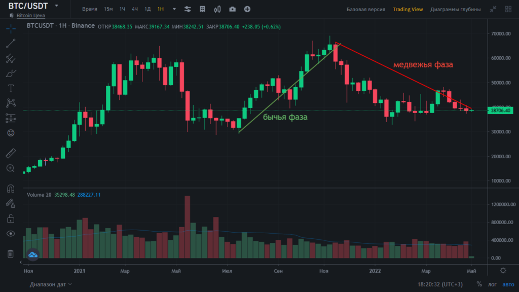 медвежья фаза