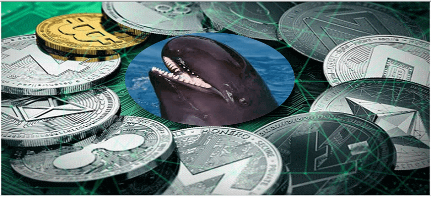 кит в криптовалюте