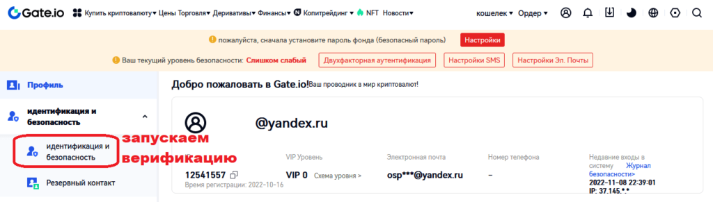 верификация гате ио