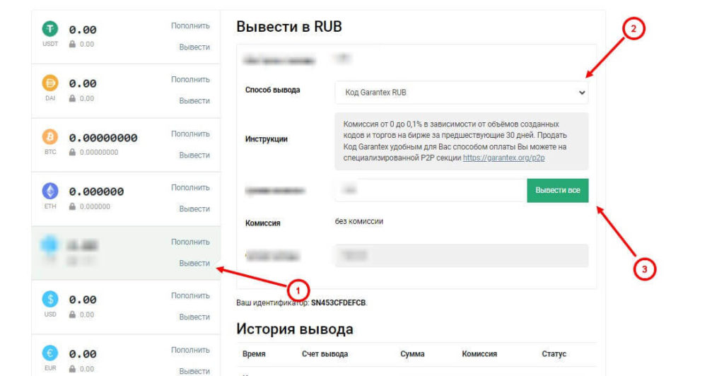 вывод с питупи