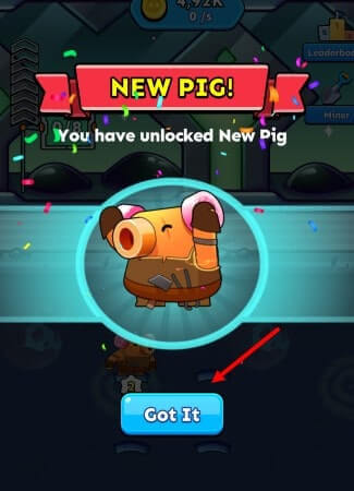 new pig