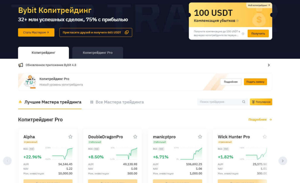 байбит копитрейдинг