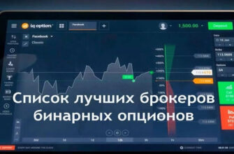 брокеры бо